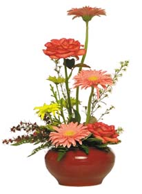 Bright Blooms