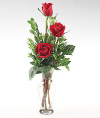 Three red roses