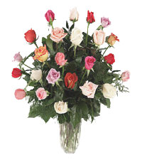 Two dozen mixed roses