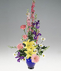 Elaborate mixed spring arrangement