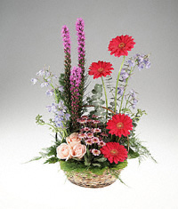 Garden basket