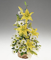 Daisy and lily basket arrangement