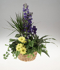 A garden planter for a baby boy