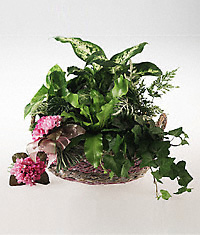 Garden planter for a baby girl