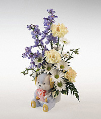Novelty arrangement for a baby boy