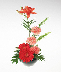 Stylized arrangement in bright colors