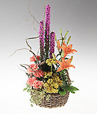 Basket arrangement of bright flowers