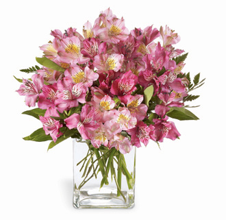  Pink Persuasion Bouquet  