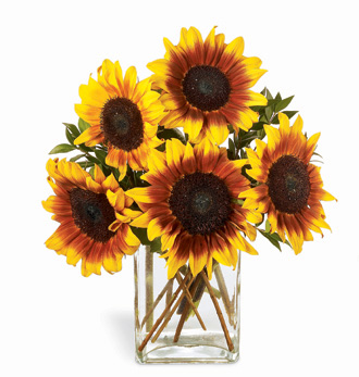  Sunshine Daydream Bouquet