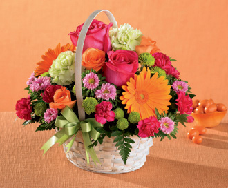  Summer in the Park Basket  