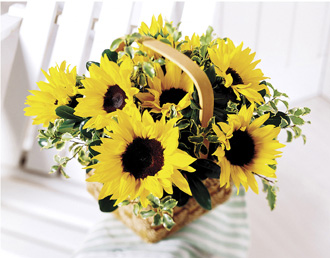  Sunflower Basket  