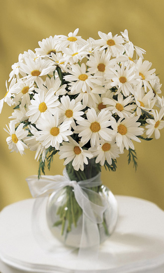  Daisy Vase  