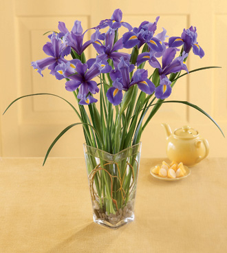  Blooming Iris Bouquet  