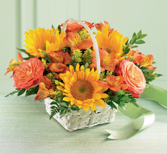  Happy Blooms Basket  