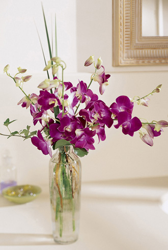  Pacific Paradise Arrangement  