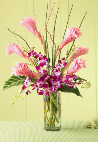  Tropicala Arrangement  