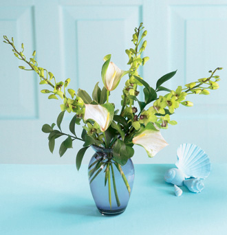  Exotica Arrangement  