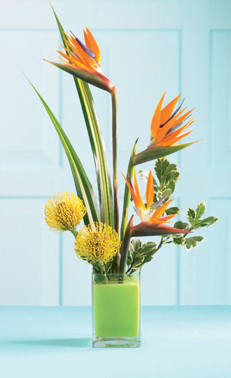  Tropical Bright Arrangement  