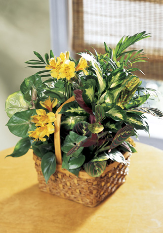  A Bit of Sunshine Basket  