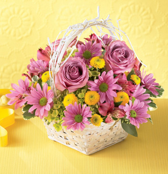  Nature’s Bounty Basket  