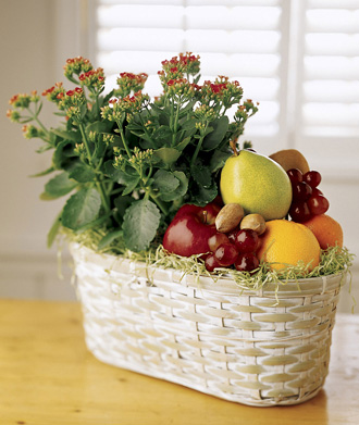  Fruits & Flowers  