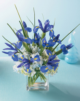  Bountiful Beauty Bouquet  