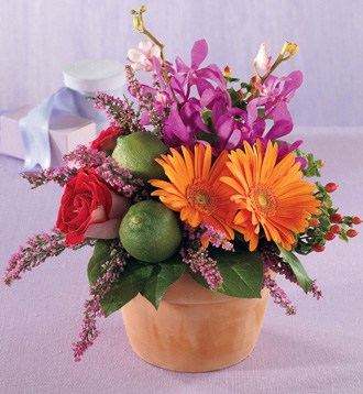  Bursts of Color Arrangement  