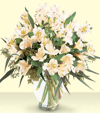 The White Elegance Bouquet