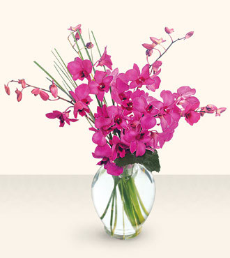 The Morning Joy  Bouquet