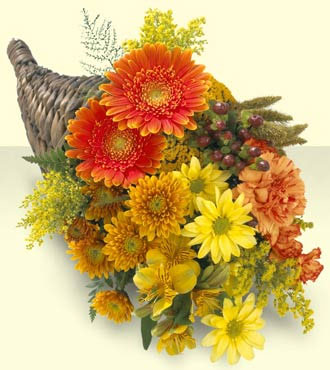 Bountiful Color Cornucopia