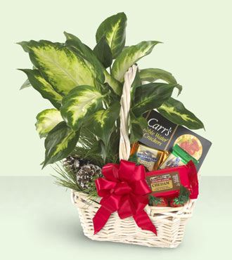 FTD Holiday Hospitality Planter