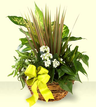 The Village Square Planter