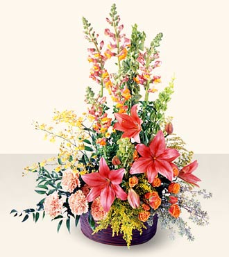 Eternal Friendship Arrangement