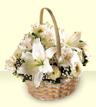 The Divinity Basket