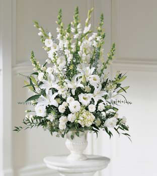 Morning Stars Arrangement