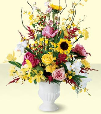 Enchanting Collage Arrangement