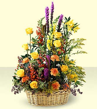 Field of Dreams Arrangement