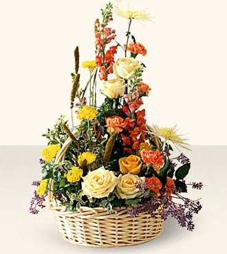 Sunshine Splendor Arrangement