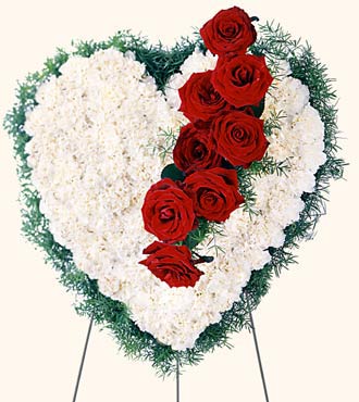 Bleeding Heart