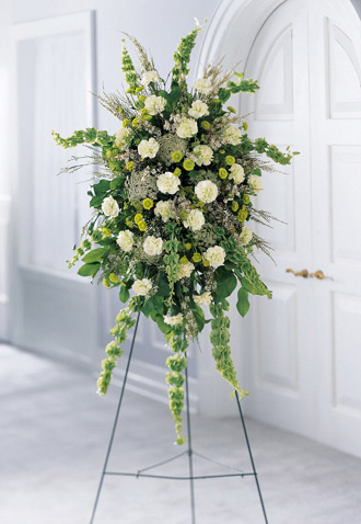  Splendor Standing Spray  
