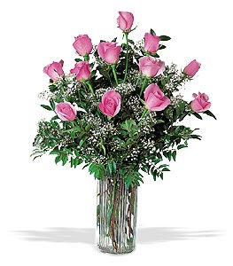 A Dozen Pink Roses Arranged