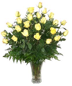 Two Dozen Yellow Roses Arranged