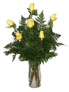 Half Dozen Yellow Roses Arranged
