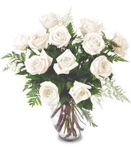 One Dozen White Roses Arranged
