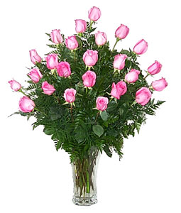 Two Dozen Pink Roses Arranged