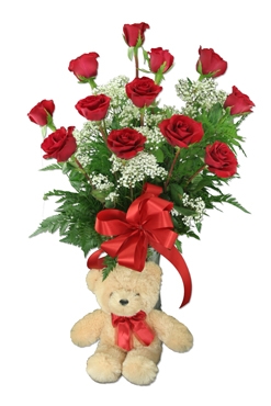 One Dozen Red Roses and Small Teddy Bear
