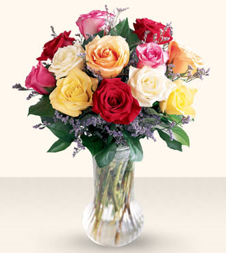 One Dozen Assorted Premium Long Stemmed Roses