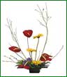 Anthurium, gerberas and statice arranged in a stunning airy display.