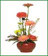 An arrangement of pink gerberas, red roses, yellow daisies and monte casino.