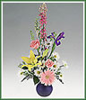 A petite collection of spring colored flowers with roses, daisy spray mums, asiatic lily and larkspur. Vase color may vary.